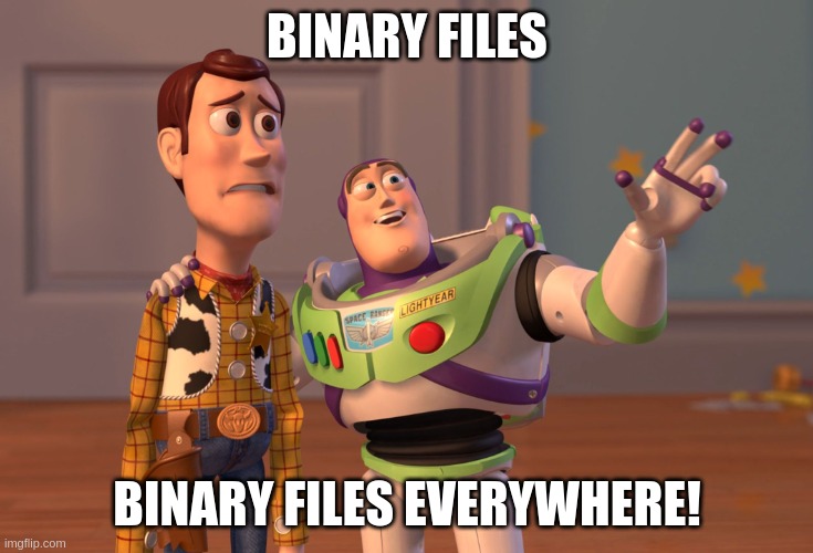 Binary Files